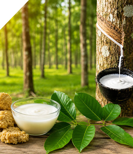 Natural Rubber